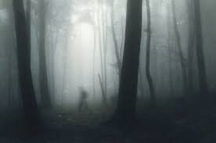 A shadowy person walking though a misty forest