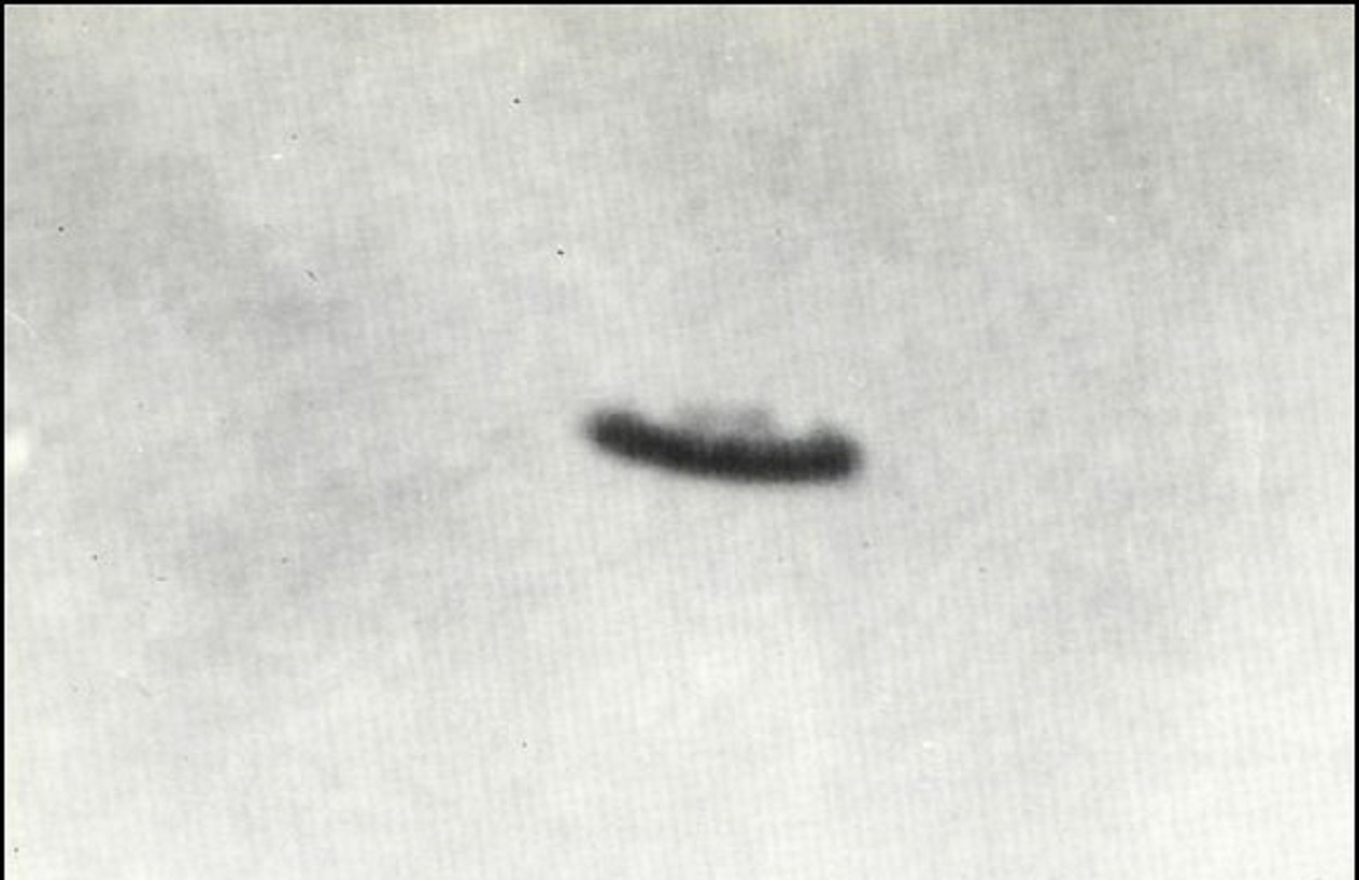 1337 1870 1967. UFO 1967. 11 Мая 1950 года НЛО.