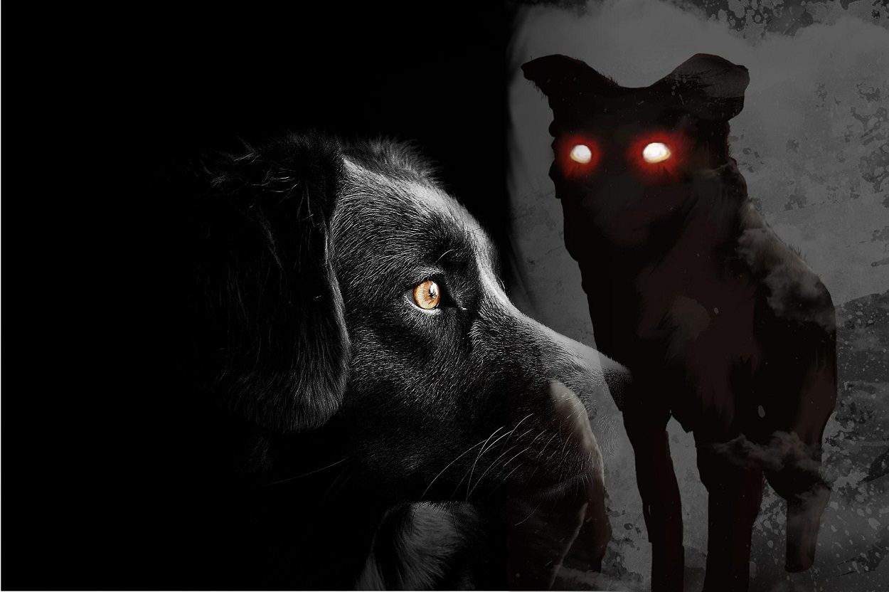 Bizarre Tales Of Demonic Black Dogs Around The World!