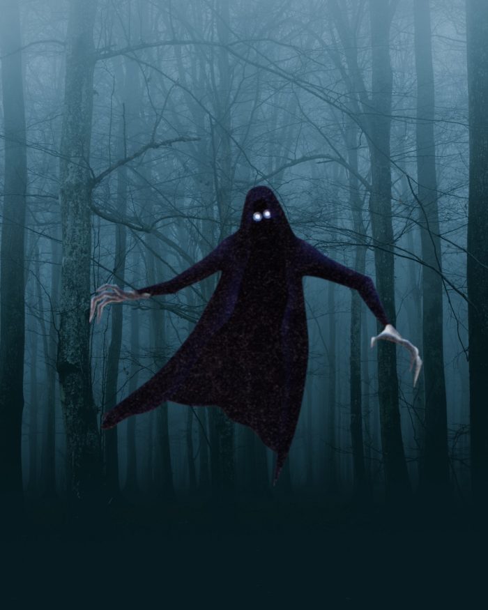 A dark forest with a strange floating hooded creature superimposed